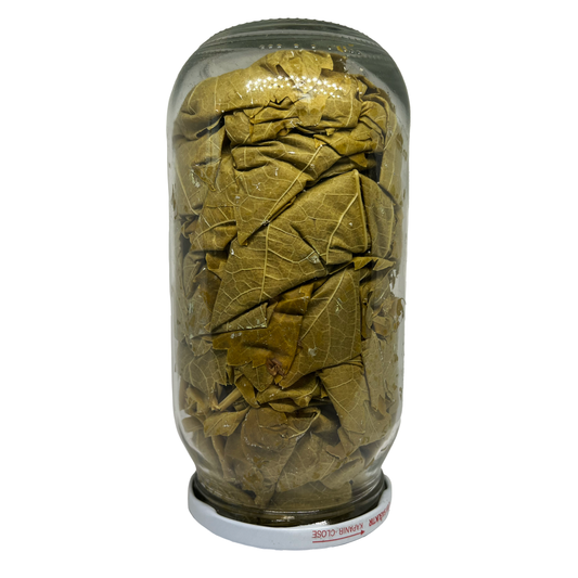 Dried Pressed Grape Leaves