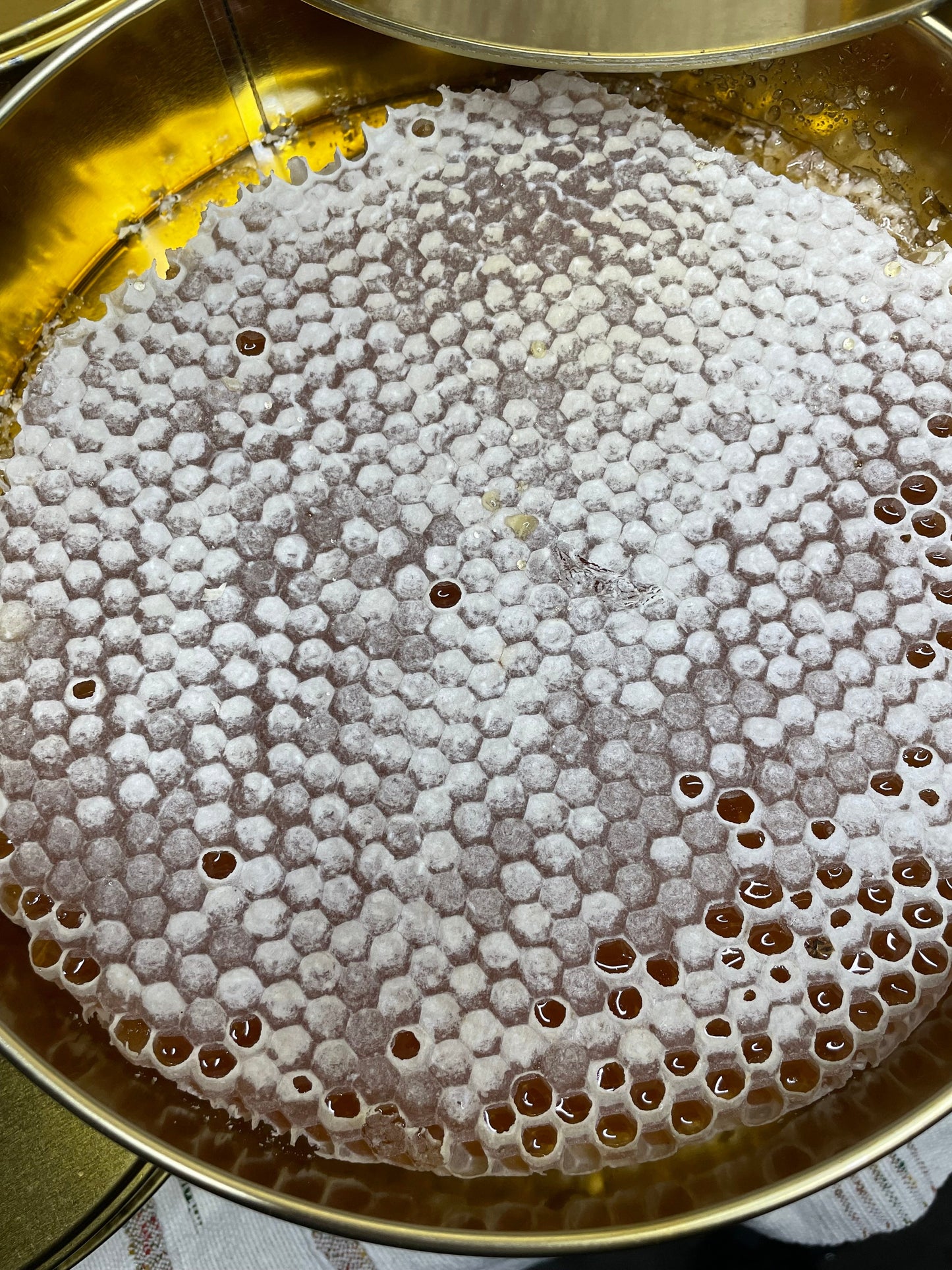 Karakovan Taurus Honeycomb Honey (Unsweetened)