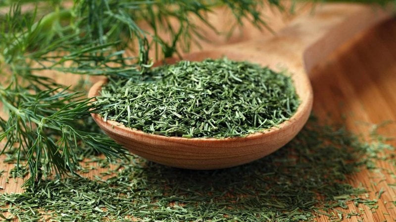 Dill (Dried)